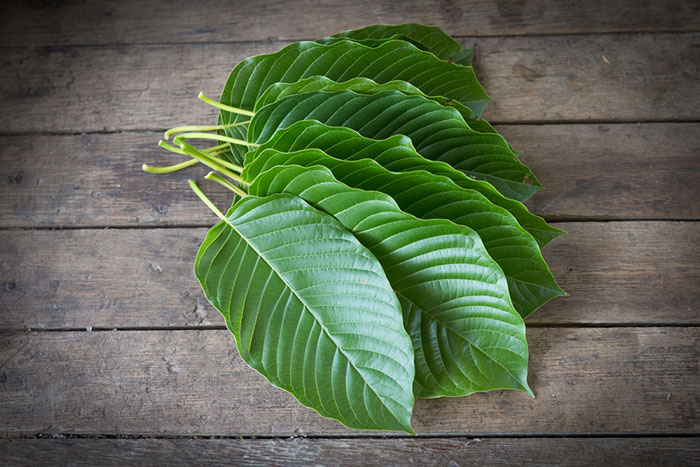 Kratom For Clarity